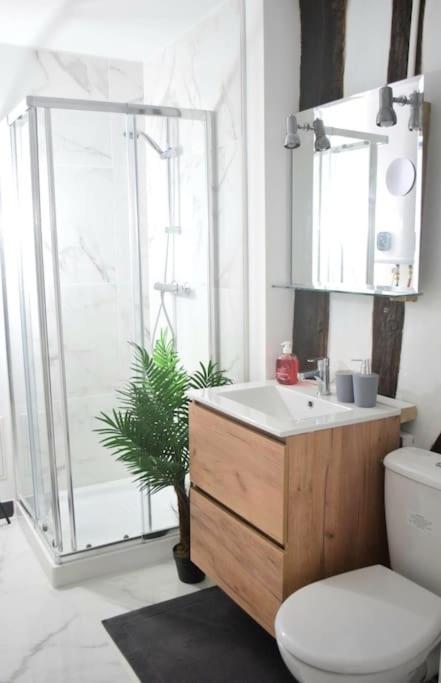Chic Et Normand, Parking Facile, Wifi Hd Apartment Pont-Audemer Exterior foto